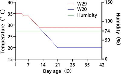 In-depth transcriptome profiling of Cherry Valley duck lungs exposed to chronic heat stress